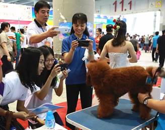 1496386185139164.jpg https://mmbiz.qlogo.cn/mmbiz_jpg/IVV0N5rkebbhFBtTjWedZ4KSymsbd1E8fN8pLLficH7Xt1BqOGxJMew55dibRlF8CzfPpVc4h1WcVrEsgl77APyw/0?wx_fmt=jpeg